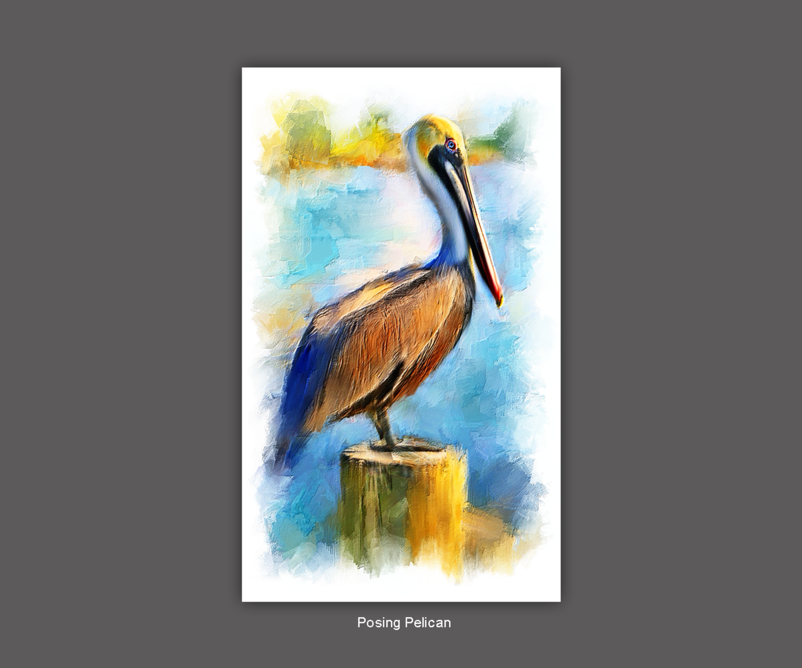 Pam Brodersen - 6 Posing Pelican